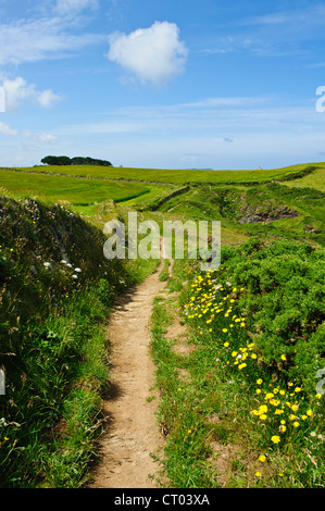 Pentire Punkt entlang der North Cornwall Coast England in Richtung Padstow Bay Stockfoto