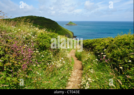 Pentire Punkt entlang der North Cornwall Coast England in Richtung Padstow Bay Stockfoto