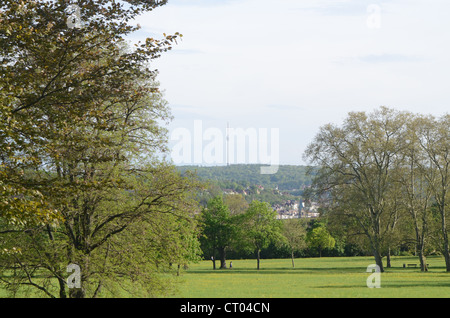 Blick von der Rosensteinpark in Stuttgart mit dem Fernsehturm Stockfoto