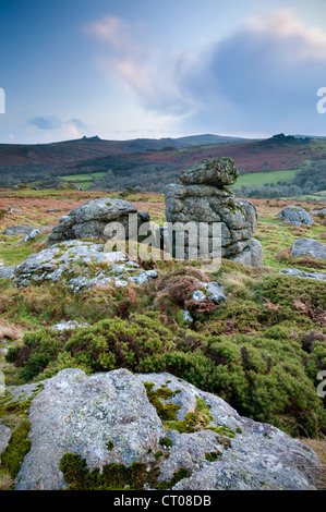 Anzeigen von Hayne Down als ein Wetter vordere Ansätze, Dartmoor Nationalpark. Stockfoto