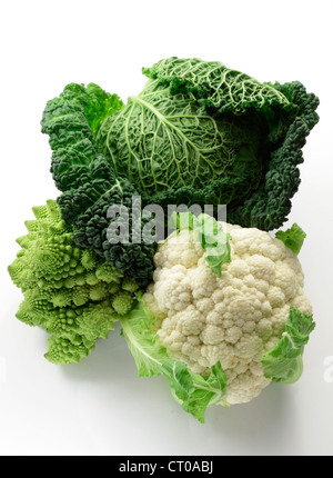 Wirsing, Cauliflowerand Romanesco Kohl Vielfalt Stockfoto