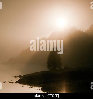 Misty Dawn auf Llyn Dinas See im Nantgwynant Tal Snowdonia-Nationalpark Gwynedd Norden Wales UK, Spätfrühling. Stockfoto