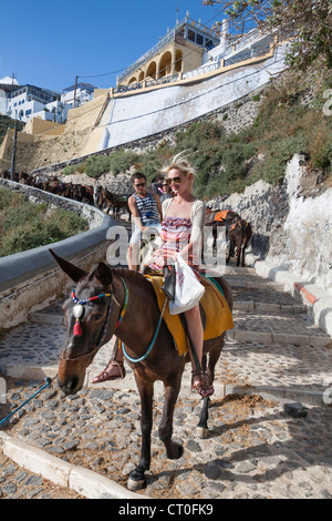 Touristen, die auf Eseln reiten hinunter die Schritte von Fira, Skala, Santorini, Griechenland Stockfoto