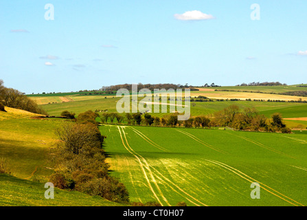 Ein Blick über South Downs entlang der Unterseite des Lychpole Hill in den South Downs National Park in West Sussex. Stockfoto