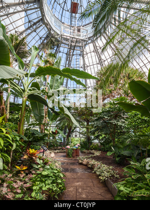 Allan Gardens Palm House Konservatorium, Toronto Stockfoto