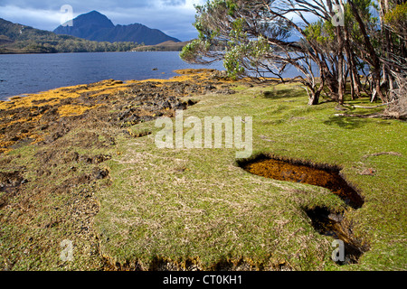 Blick auf Mt Rugby vom Wald Lagune Tasmaniens-Southwest-Nationalpark Stockfoto