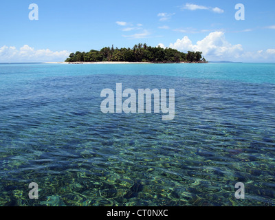 Unberührten Insel mit weißem Sandstrand in der Karibik Stockfoto