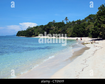 Karibischen Sandstrand mit üppiger Vegetation auf einer tropischen Insel Zapatilla Cayes, Bocas del Toro, Panama Stockfoto