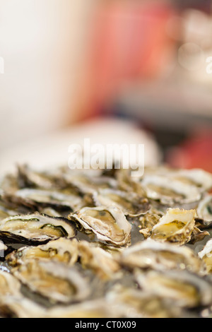 Nahaufnahme von Schüssel mit Austern Stockfoto