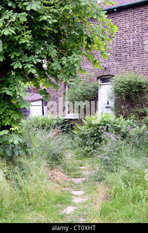Vernachlässigten Garten überwuchert Stockfoto