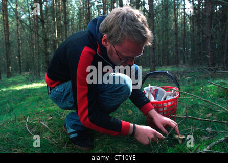 Ein Pilzsammler im Wald Stockfoto