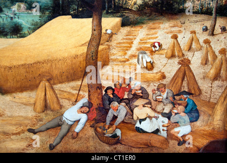 Die Erntemaschinen 1565 Pieter Bruegel d. älteren holländischen, belgischen Belgien Niederlande Stockfoto