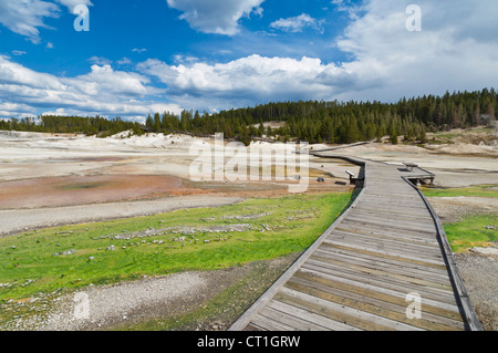Windrad Geysir Abfluss Porzellan Waschbecken Norris Geyser Basin Yellowstone National Park Wyoming USA Vereinigte Staaten von Amerika Stockfoto
