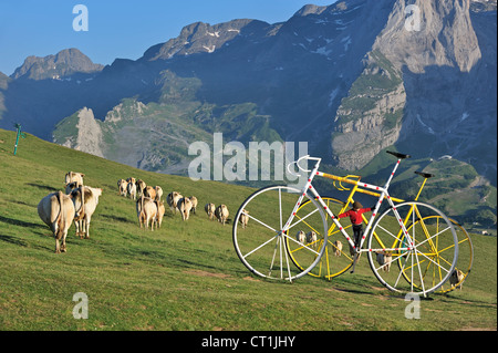 Herde der Kühe auf der Alm und riesigen Fahrrad Skulpturen an der Col d'Aubisque, Pyrénées-Atlantiques, Pyrenäen, Frankreich Stockfoto