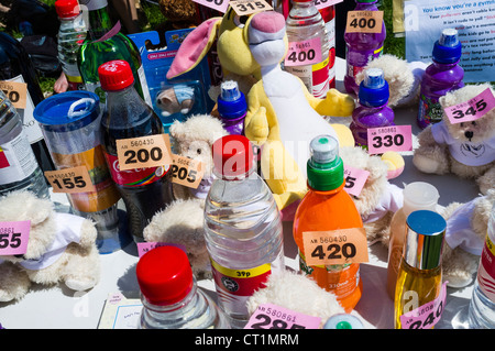 kleine Gegenstände, die als Preise in einem Dorf Fete Verlosung Tombola, UK angeboten Stockfoto