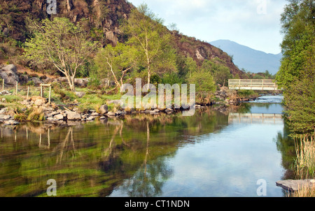 Afon Glaslyn Abfluss von Llyn Dinas Nantgwynant Tal, Snowdonia National Park Gwynedd North Wales UK, späten Frühling. Stockfoto