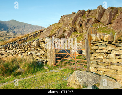 Rhyd Ddu Pfad zum Bergen von Snowdon, Snowdonia National Park Gwynedd North Wales UK, späten Frühjahr. Stockfoto