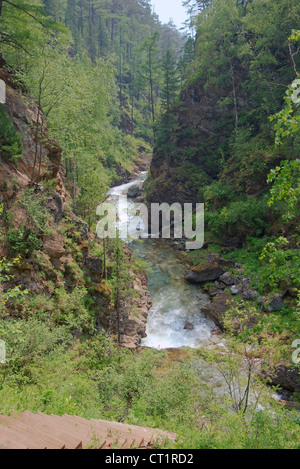 Arschan, Tunkinsky Bezirk, Republik Burjatien, Sibirien, Russland Stockfoto