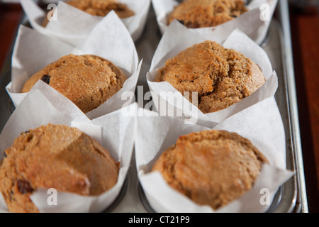 Frisch gebacken in einer Schale auf einem Kuchengitter-Kleie-Muffins. Muffins in Fett-Proof Papier. Stockfoto