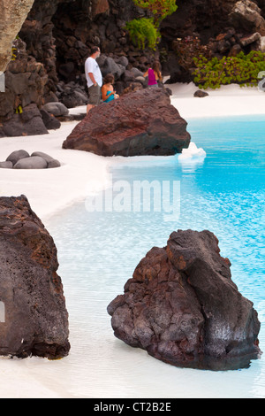 Lanzarote, Jameos Del Agua "Jameo Grande" Pool - Lanzarote, Kanarische Inseln, Spanien, Europa Stockfoto