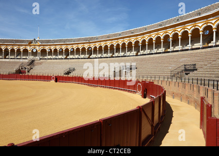 Stierkampfarena (Plaza de Toros) in Sevilla, Andalusien Spanien Stockfoto