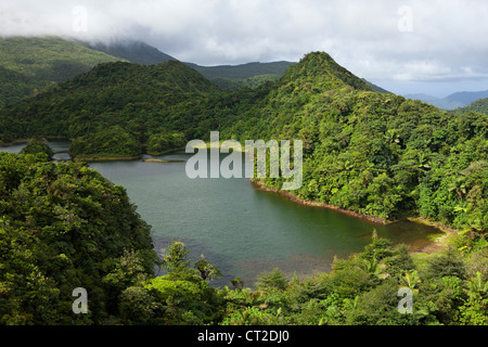 Süßwassersee im Nationalpark Morne Trois Pitons, Dominica, Karibik Stockfoto