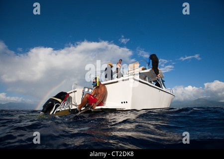 Whale-watching Tour, Karibik, Dominica Stockfoto