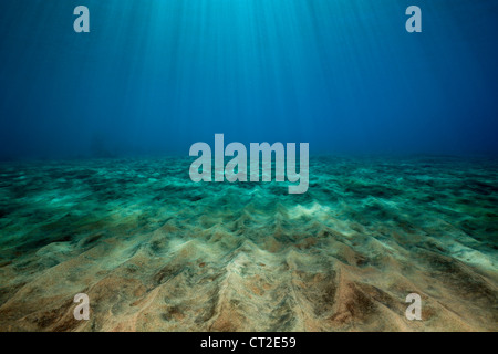 Sonnenstrahlen, die Filterung durch die Wasseroberfläche, Karibik, Dominica Stockfoto