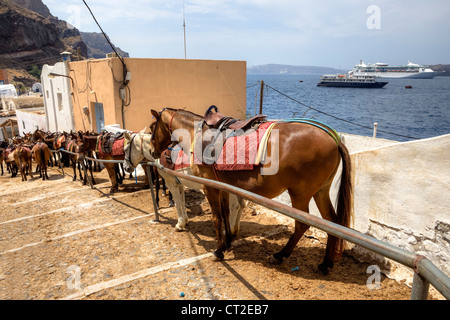 Pantoletten warten auf Touristen im alten Hafen von Fira, Santorini, Griechenland Stockfoto