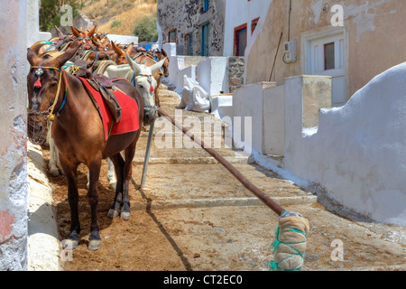 Pantoletten warten auf Touristen im alten Hafen von Fira, Santorini, Griechenland Stockfoto