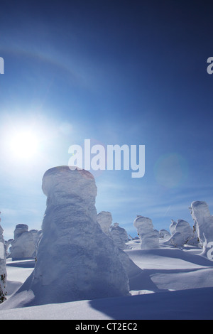 Schnee-Monster am Mount Zao, Yamagata Tohoku Japan Stockfoto