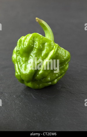 Grüne Scotch Bonnet Chili Stockfoto