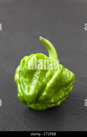 Grüne Scotch Bonnet Chili Stockfoto