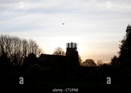 Osten Ruston Old Vicarage Gärten, Norfolk, Winter (Alan Gray und Graham Robeson). Ansicht Ost Ruston Dorfkirche Stockfoto