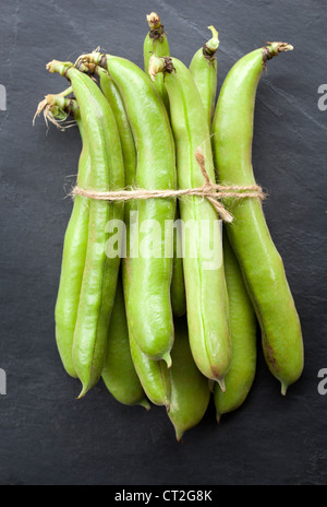 Dicke Bohnen Stockfoto