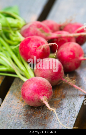 Frische Radieschen auf einem hölzernen Hintergrund Stockfoto