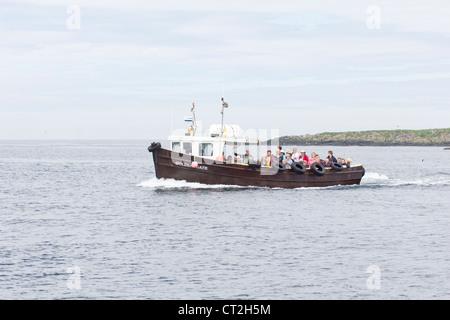 Eine Reise in die innere Farne auf einem Boot Stockfoto