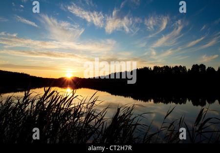 Sonnenuntergang über dem Waldsee Stockfoto