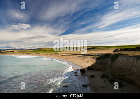 Orere Point, Süden der Nordinsel Neuseelands 3 Stockfoto