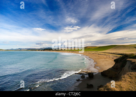 Orere Point, Süden der Nordinsel Neuseelands 5 Stockfoto