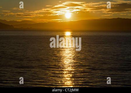 Sonnenaufgang in Wellington Harbour, Neuseeland 4 Stockfoto