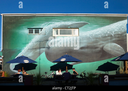 Whale watching Wandbild im Restaurant in Kaikoura, Südinsel von Neuseeland 2 Stockfoto