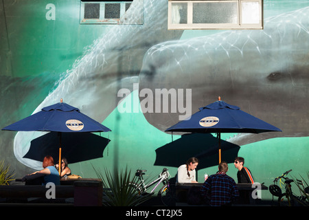 Whale watching Wandbild im Restaurant in Kaikoura, Südinsel von Neuseeland 4 Stockfoto