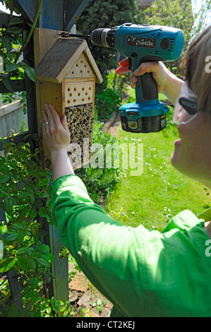 Frau Garten Pergola, Norfolk, Großbritannien, Mai Bug Box zuweisen Stockfoto