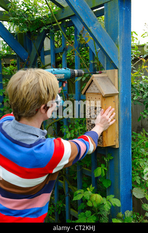 Frau Garten Pergola, Norfolk, Großbritannien, Mai Bug Box zuweisen Stockfoto