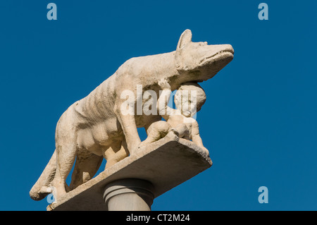 Nahaufnahme der Säule mit der Statue der Contraden Lupa Wölfin, Dom von Siena (Duomo di Siena), Toskana, Italien Stockfoto