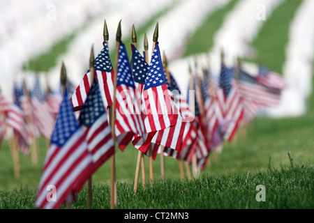 Fahnen an der Clement J Zablocki Friedhof Milwaukee Wisconsin angezeigt Stockfoto