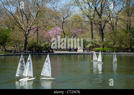 Fernbedienung-Segelboote, Konservatorium Wasser im Central Park in New York City Stockfoto