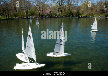 Fernbedienung-Segelboote, Konservatorium Wasser im Central Park in New York City Stockfoto