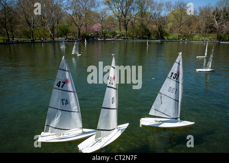 Fernbedienung-Segelboote, Konservatorium Wasser im Central Park in New York City Stockfoto